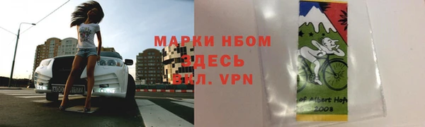 стаф Богданович